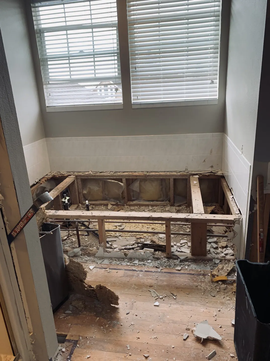 Bathroom demolition phase